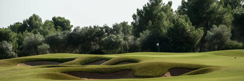 T Golf Palma Puntiro T Golf Palma Puntiro