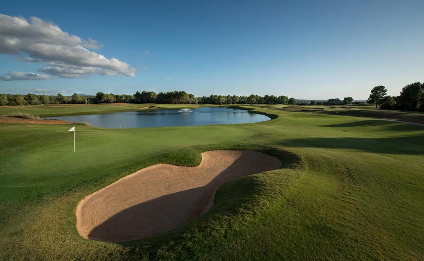 T Golf Palma Puntiro T Golf Palma Puntiro