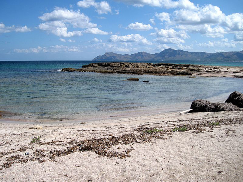 S’Arenal d’en Casat S’Arenal d’en Casat