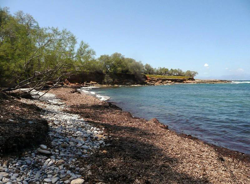 Cala Camps Vells Cala Camps Vells