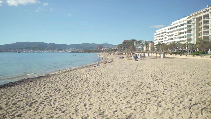 Beaches in Palma Beaches in Palma
