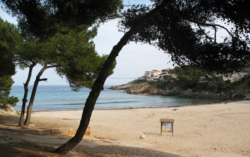 Sa Font de sa Cala Sa Font de sa Cala