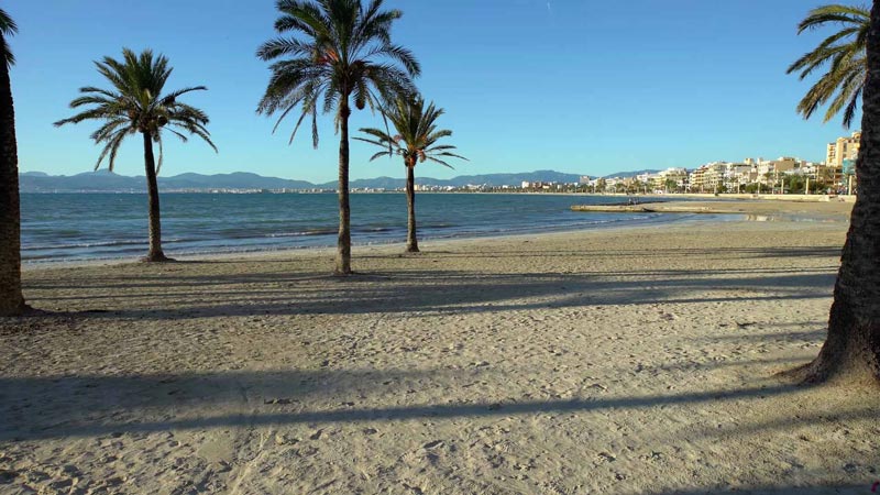 S'Arenal S'Arenal