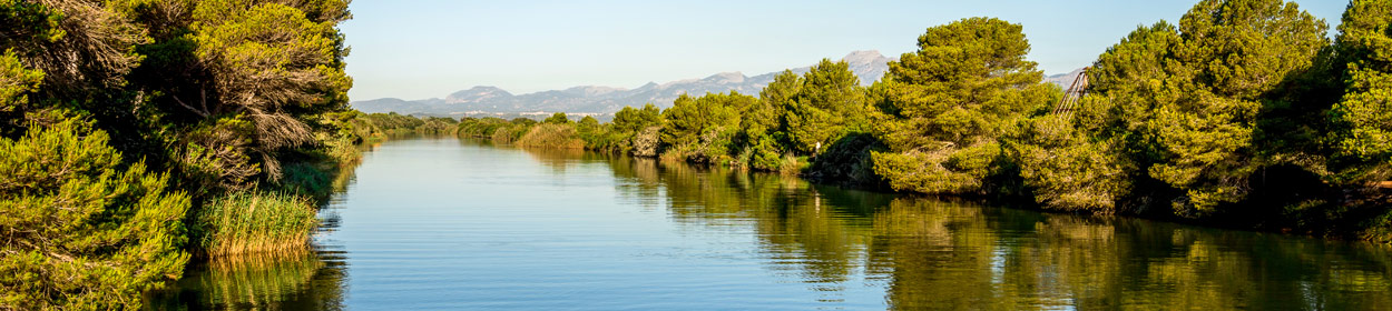 Majorca Nature Reserves - a detailed guide to the nature reserves in Majorca
